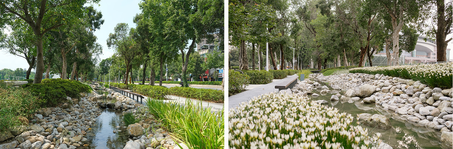 台大新生南路三段，步行環境改善後以過去堀川兩岸垂柳綠意為意象，保留老樹，營造多樣的駐留體驗 ( 照片來源:經典工程顧問公司)
